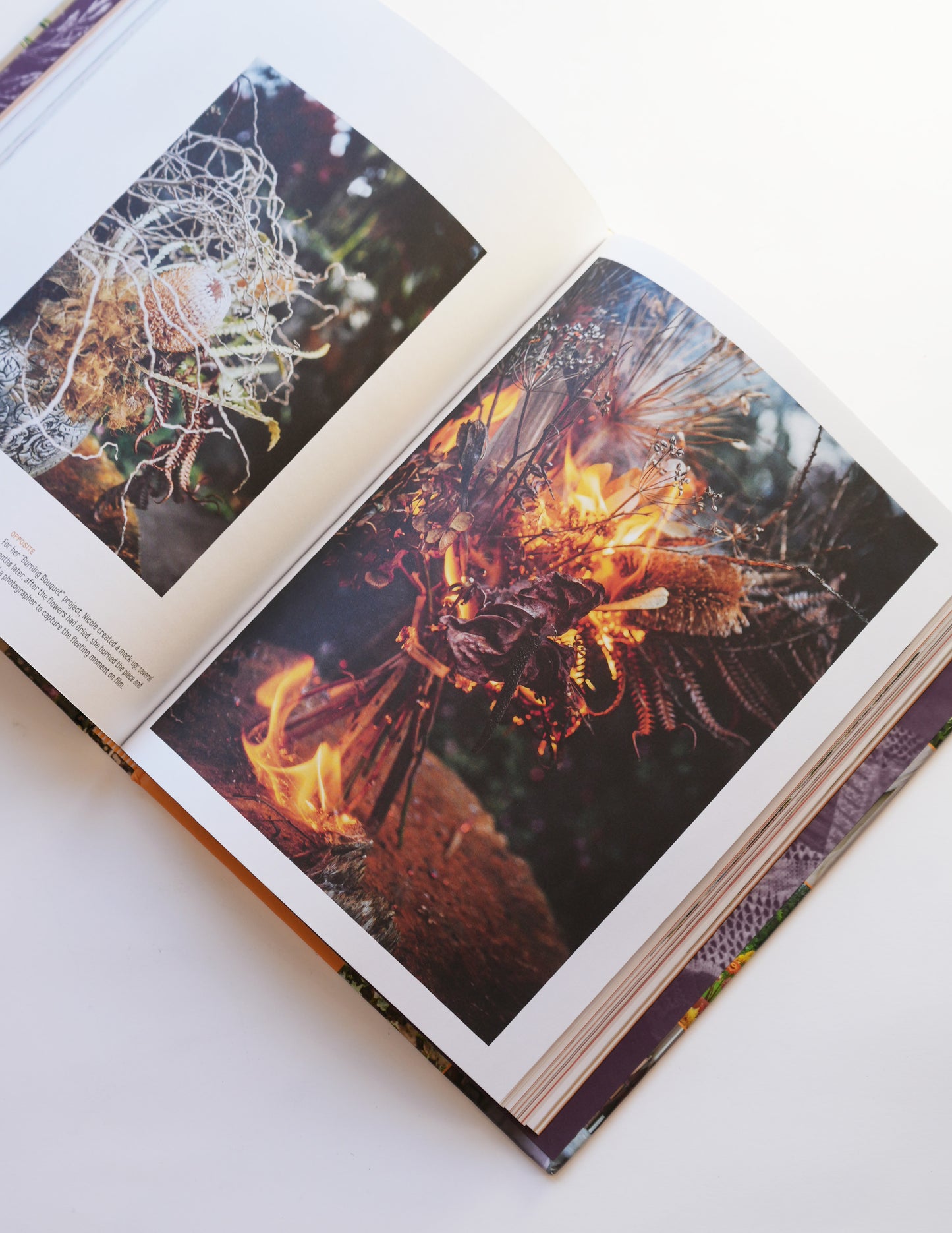 Black Flora: Inspiring Profiles of Floriculture's New Vanguard