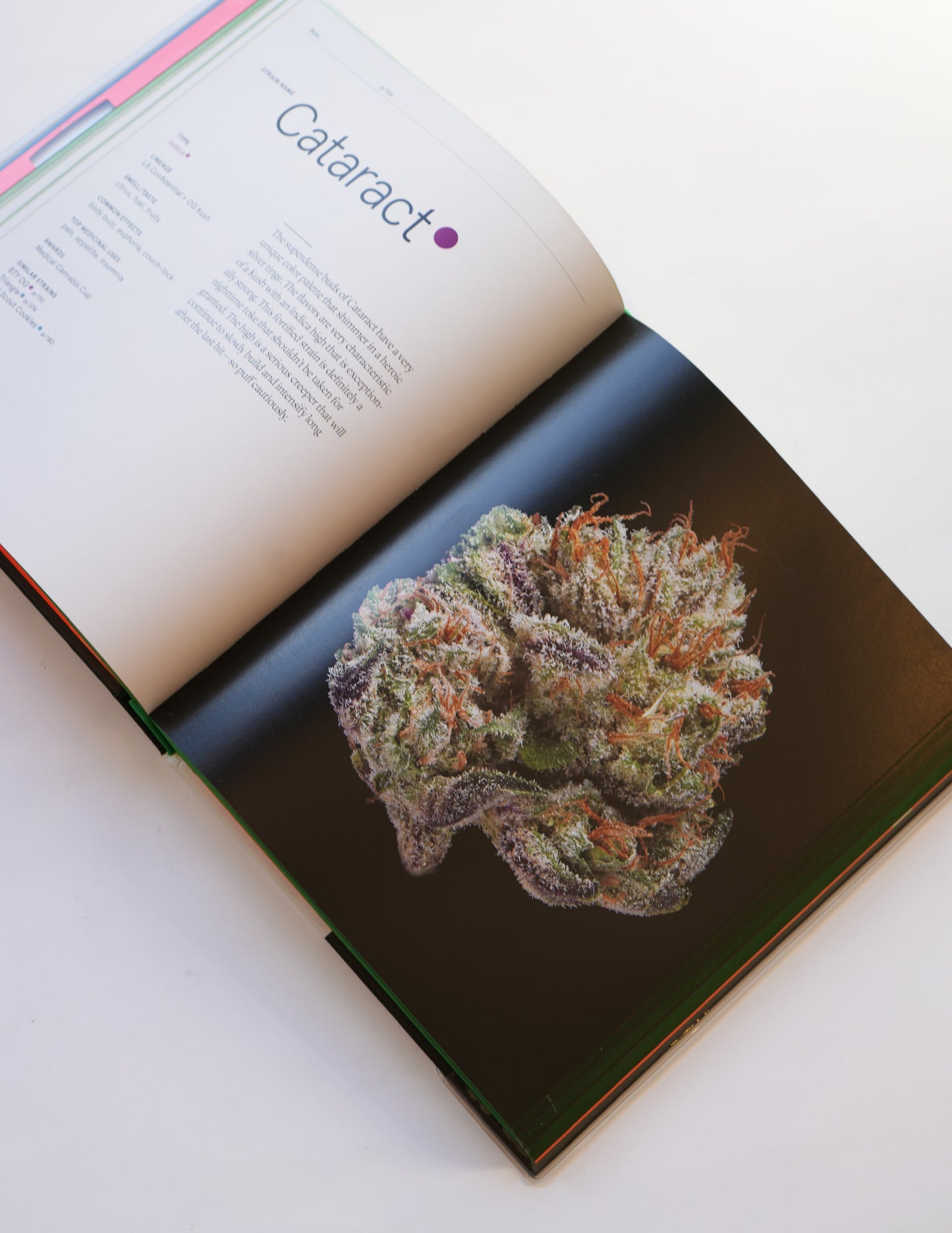 Green: A Field Guide to Marijuana