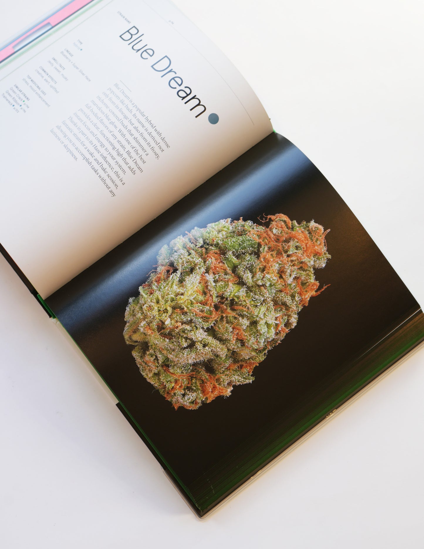 Green: A Field Guide to Marijuana