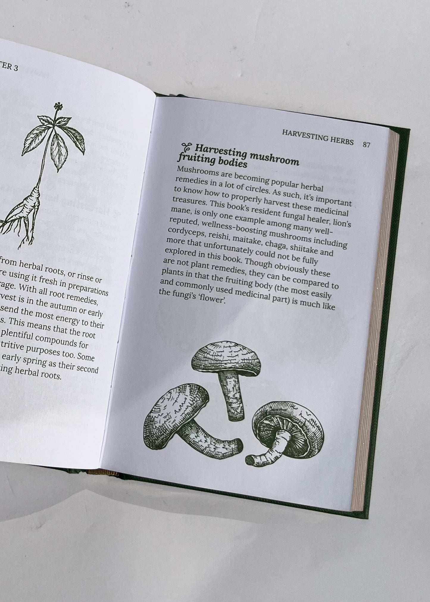 Herbalism Plants and Potions That Heal By Adrian White