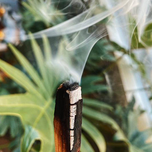 Palo Santo